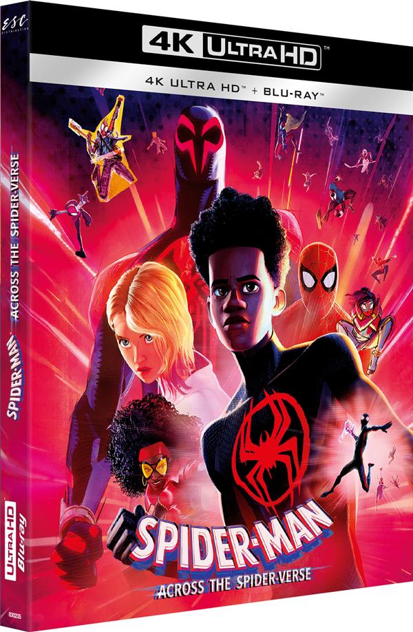 DVD Film Spider-Man - Across The Spider-Verse