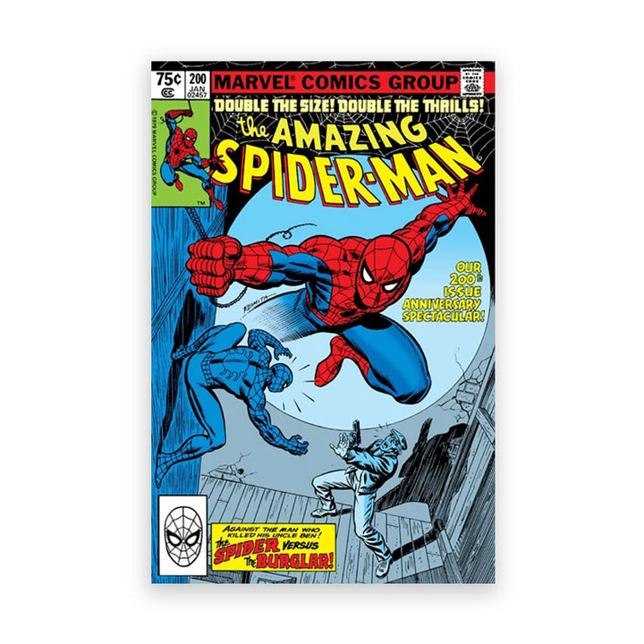 Poster Comics Spider-Man en Combat